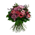 SUPERBLOOM